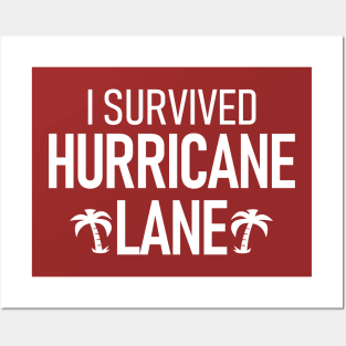 I Survived Hurricane Lane Posters and Art